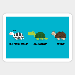 Turtle types version 2/2 selection Sticker